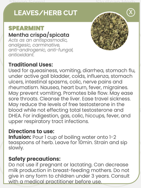 Pharma Germania Spearmint