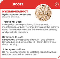 Pharma Germania Hydrangea root