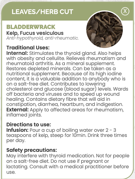 Pharma Germania Bladderwrack