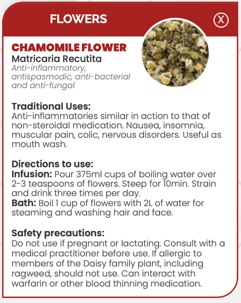 Pharma Germania Chamomile Flowers