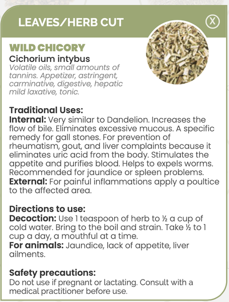 Pharma Germania Wild Chicory Herb