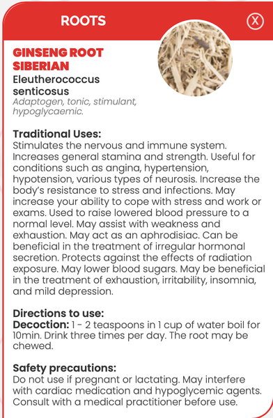 Pharma Germania Ginseng Root siberian