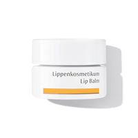 Dr. Hauschka Lip